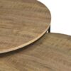 Lainey 2-piece Round Nesting Coffee Table Mango