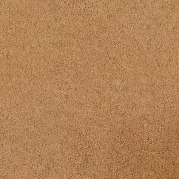 Diego Upholstered Accent Arm Chair with Wood Arms Honey