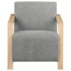 Diego Upholstered Accent Arm Chair with Wood Arms Grey
