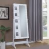 Doyle Cheval Mirror with Jewelry Storage White
