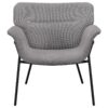 Davina Upholstered Flared Arm Accent Chair Ash Grey
