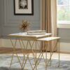 Bette 2-piece Marble Top Nesting Table Set White and Gold