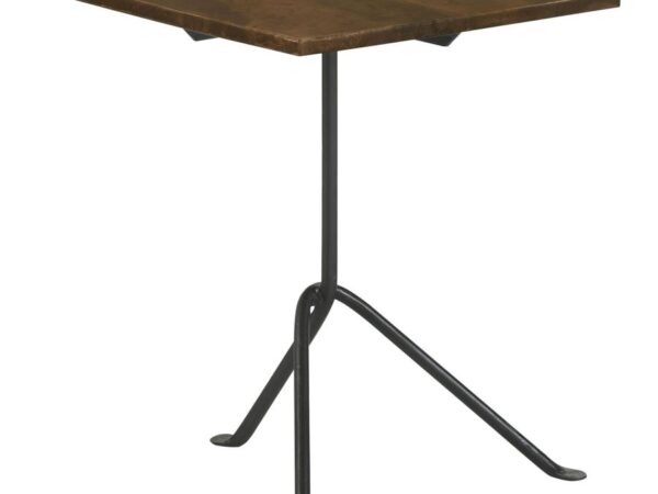 Heitor Square Wood Top Accent Side Table Dark Brown