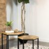Adger 2-piece Hexagonal Nesting Tables Natural and Black