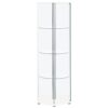 Zahavah 4-shelf Hexagonal Clear Glass Curio Cabinet White