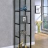 Cyclamen 4-shelf Clear Glass Curio Display Cabinet Black