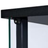 Cyclamen 3-shelf Clear Glass Curio Display Cabinet Black