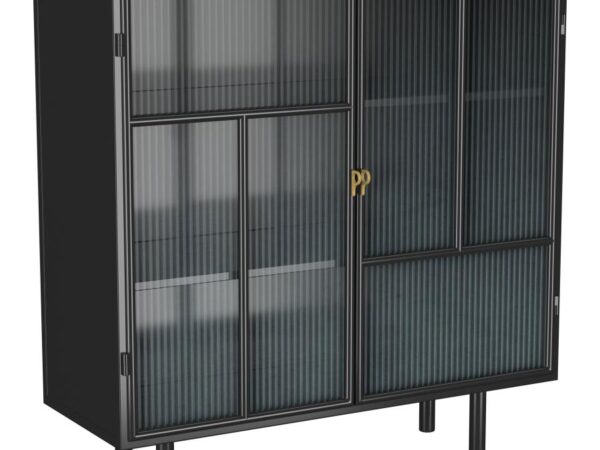 Dalia 2-door Accent Storage Cabinet with Shelving Black