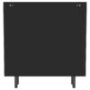 Dalia 2-door Accent Storage Cabinet with Shelving Black