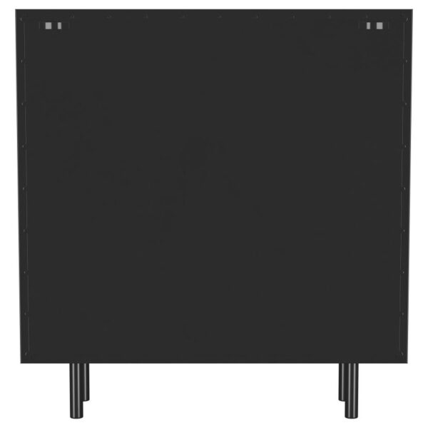 Dalia 2-door Accent Storage Cabinet with Shelving Black