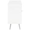 Nieta 2-door Engineered Wood Accent Cabinet White High Gloss