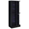 Cabra 4-door LED Curio Display Cabinet Black High Gloss