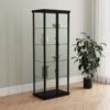 Aero 4-shelf Display Curio Cabinet with LED Lighting Black