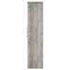 Alejo 2-door Engineered Wood Tall Cabinet Grey Driftwood