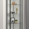 Zenobia 4-shelf Curio Cabinet Display Case Black