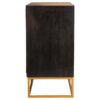 Zara 2-door 40-inch Wood Accent Storage Cabinet Black Walnut