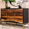 Zara 2-door 57-inch Wood Accent Storage Cabinet Black Walnut