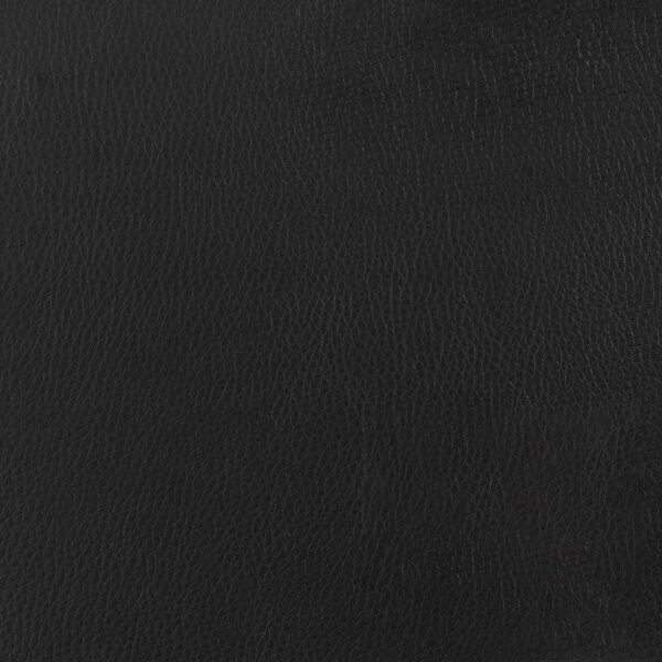 Juniper Polypropylene Dining Side Chair Black (Set of 2)