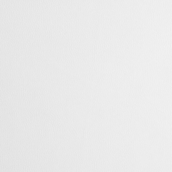 Juniper Polypropylene Dining Side Chair White (Set of 2)