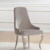 Antoine Velvet Upholstered Dining Side Chair Grey (Set of 2)