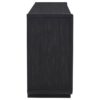 Leandro 2-drawer Dining Sideboard Server Burnished Black