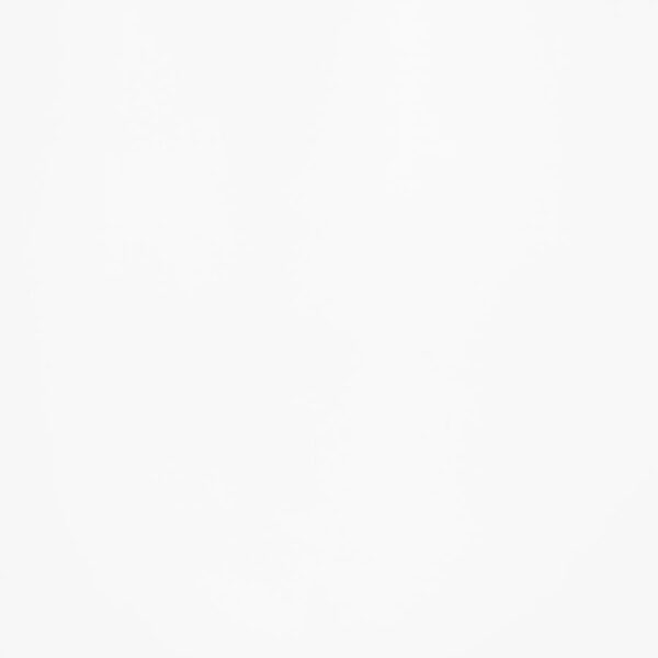 Andrews 66-inch Rectangular Dining Table Light Ash and White