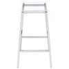 Jovani Acrylic Backless Bar Stool Chrome (Set of 2)