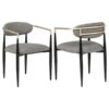 Alexis Fabric Upholstered Dining Arm Chair Grey (Set of 2)