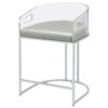 Thermosolis Clear Acrylic Counter Chair Chrome (Set of 2)
