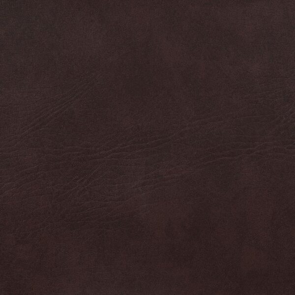 Adelaide Upholstered Pub Height Bar Stool Brown and Chrome