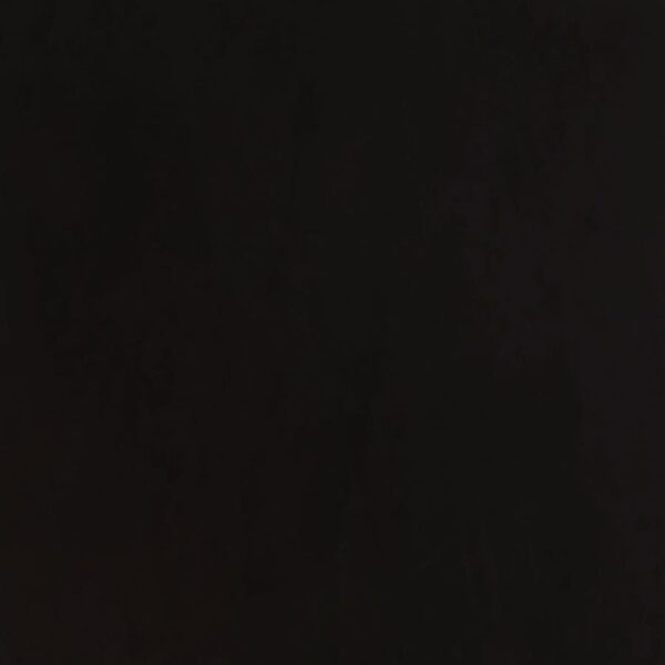 Alana Fabric Upholstered Dining Side Chair Beige (Set of 2)