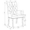 Alana Fabric Upholstered Dining Arm Chair Beige