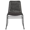 Dacy Faux Rattan Metal Dining Side Chair Brown (Set of 2)