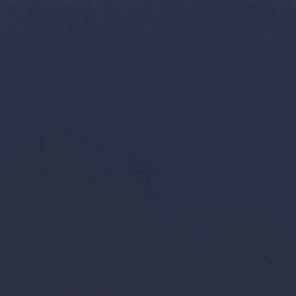 Mayer Upholstered Dining Arm Chair Blue and Brown (Set of 2)