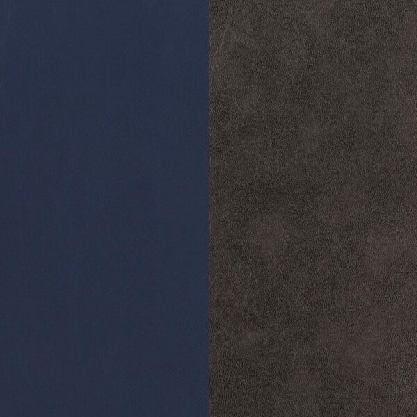 Mayer Upholstered Dining Arm Chair Blue and Brown (Set of 2)