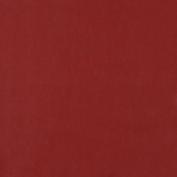 Retro Upholstered Dining Side Chair Red (Set of 2)