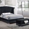 Barzini Velvet Upholstered Tufted Storage Bench Black