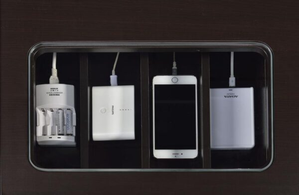 Halston 47-inch 2-drawer Office Desk with Cabinet Cappuccino