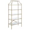 Serena 70-inch 5-shelf Glass Bookshelf Gold
