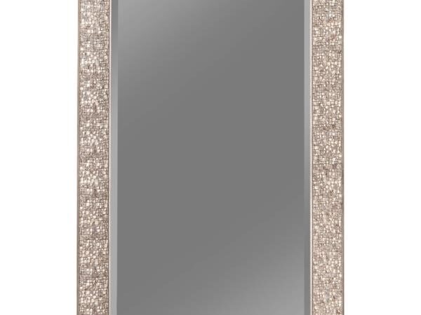 Rollins 32 x 66 Inch Rectangular Floor Mirror Silver