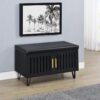 Brixton 2-door Padded Entryway Shoe Storage Bench Black