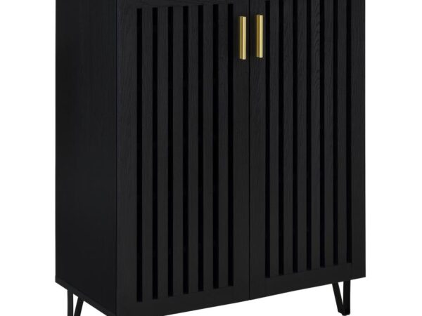 Brixton 2-door Entryway Shoe Storage Cabinets Black