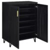 Brixton 2-door Entryway Shoe Storage Cabinets Black