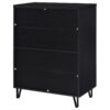 Brixton 2-door Entryway Shoe Storage Cabinets Black