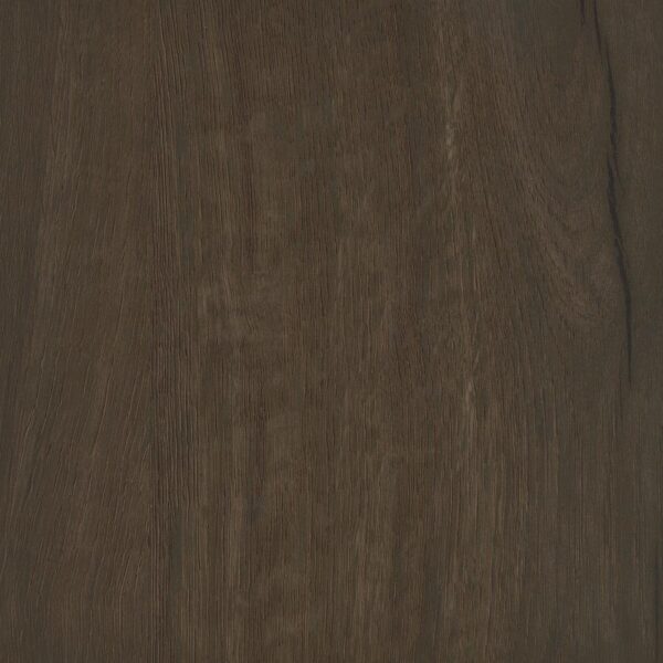 Brixton 2-door Entryway Shoe Storage Cabinets Smoked Oak