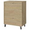 Brixton 2-door Entryway Shoe Storage Cabinets White Oak
