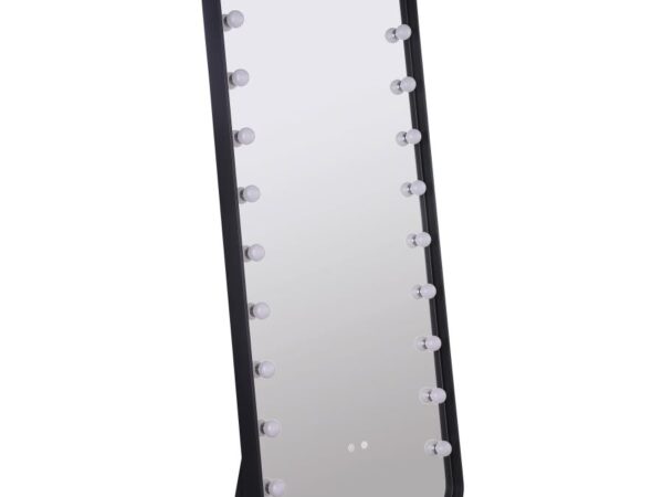 Canton 32 x 71 Inch LED Standing Mirror with Speakers Black