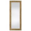 Cadence Tempered Glass Full Length Standing Mirror Mango
