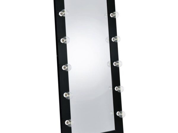 Zayan 32 x 71 Inch Floor Mirror LED Lighting Black Gloss