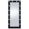 Zayan 32 x 71 Inch Floor Mirror LED Lighting Black Gloss